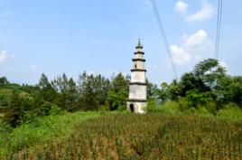 桃李村[重慶市奉節縣石崗鄉桃李村]