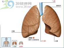 卡氏肺囊蟲肺炎