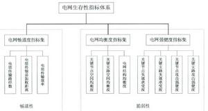 電網生存性評估