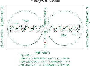 傳遞光速之光子-內部結構模型圖