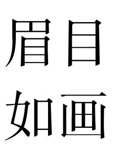 眉目如畫