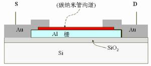 碳納米管FET