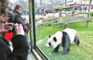 萬塞訥動物園——大熊貓