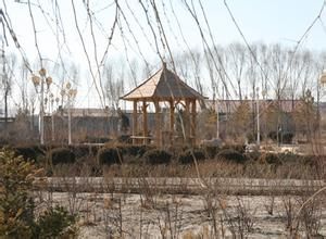 鶴鄉體育公園