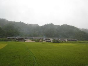 小灰山自然村