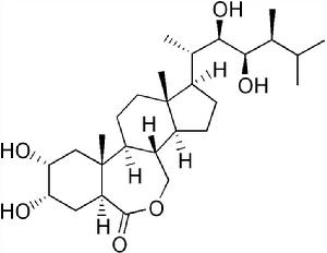 油菜素內酯（BL）結構式