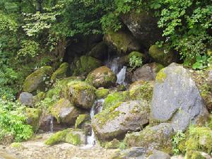 上壩河國家森林公園