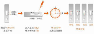 C肝檢測方法