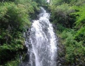 長白國家森林公園