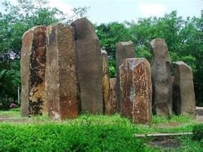 浙江新昌矽化木國家地質公園