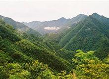 茅竹山自然風光