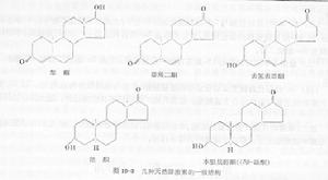 原膽色烷