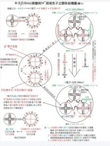 碳14