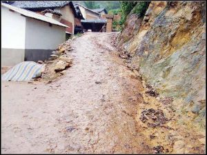 進村道路