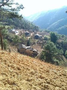 老龍溝村[雲南省文山州丘北縣雙龍營鎮老龍溝村]