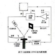 子力顯微鏡——原理圖