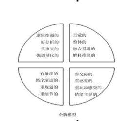 全腦教育基礎理論