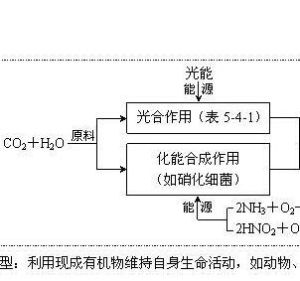 化能合成作用