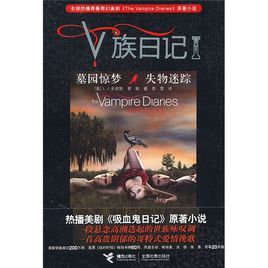 v族日記墓園驚夢失物迷蹤