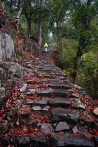 關山古道