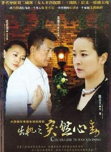 《突然心動》[2008年上映劉二威執導內地家庭倫理劇]