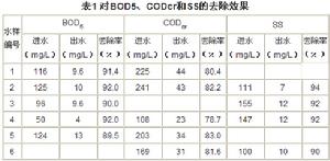 生物接觸氧化工藝