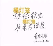 袁隆平院士為橘燈籠題詞